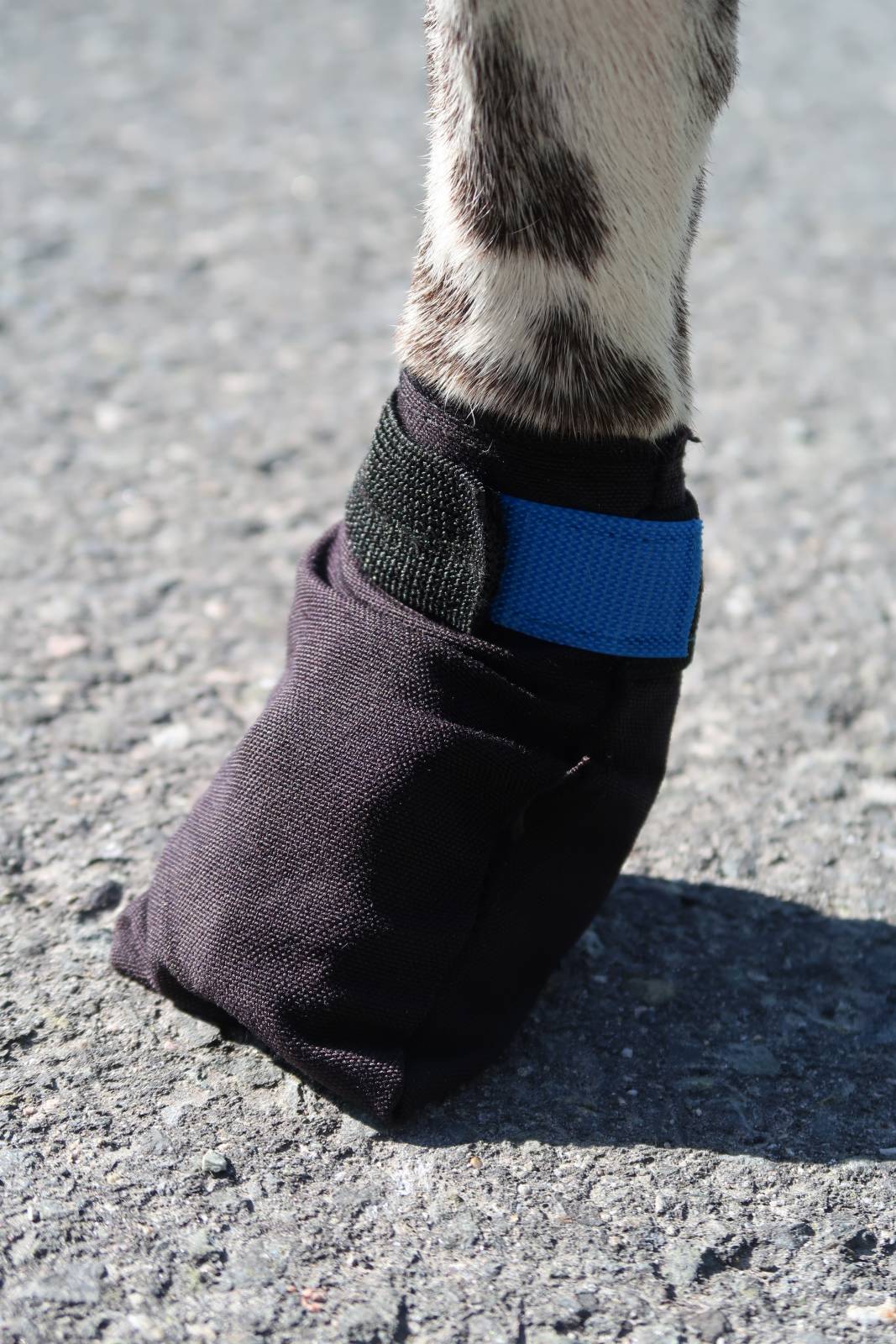 Potesokker VIP FINNMARK 4-pk Str. M