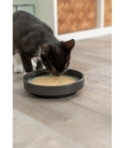 Alternative view of Cat Soup, med kylling,reker eller laks