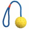Hundeleke  Ball i Snor 6 cm