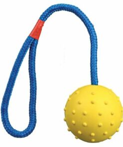 Hundeleke  Ball i Snor 6 cm