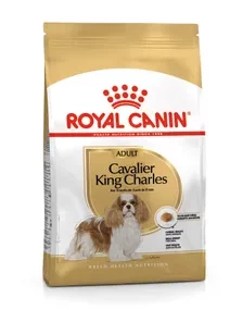 Cavalier King Charles Adult 1,5 kg
